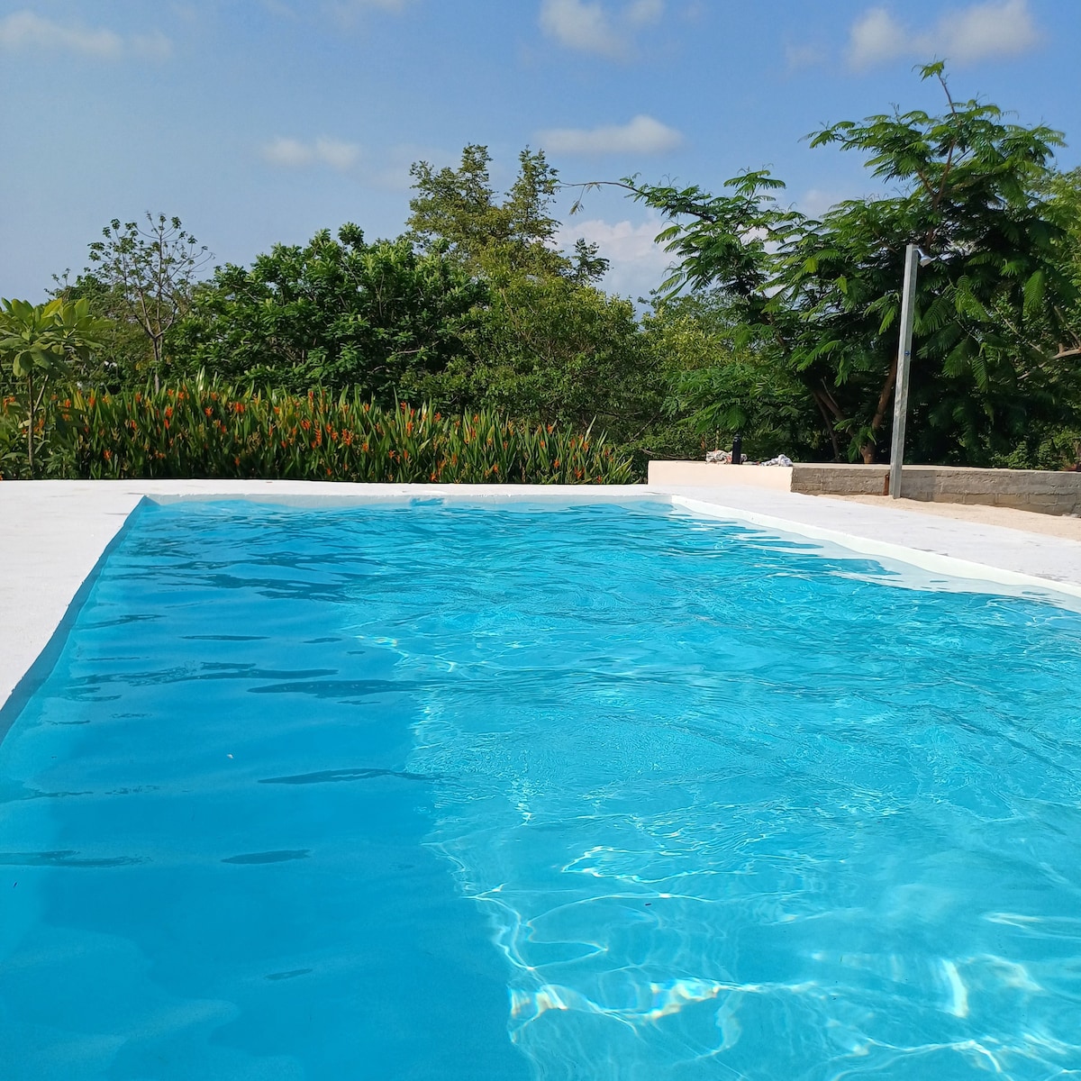 Casa Colibrí. Playas del Coco, Costa Rica.