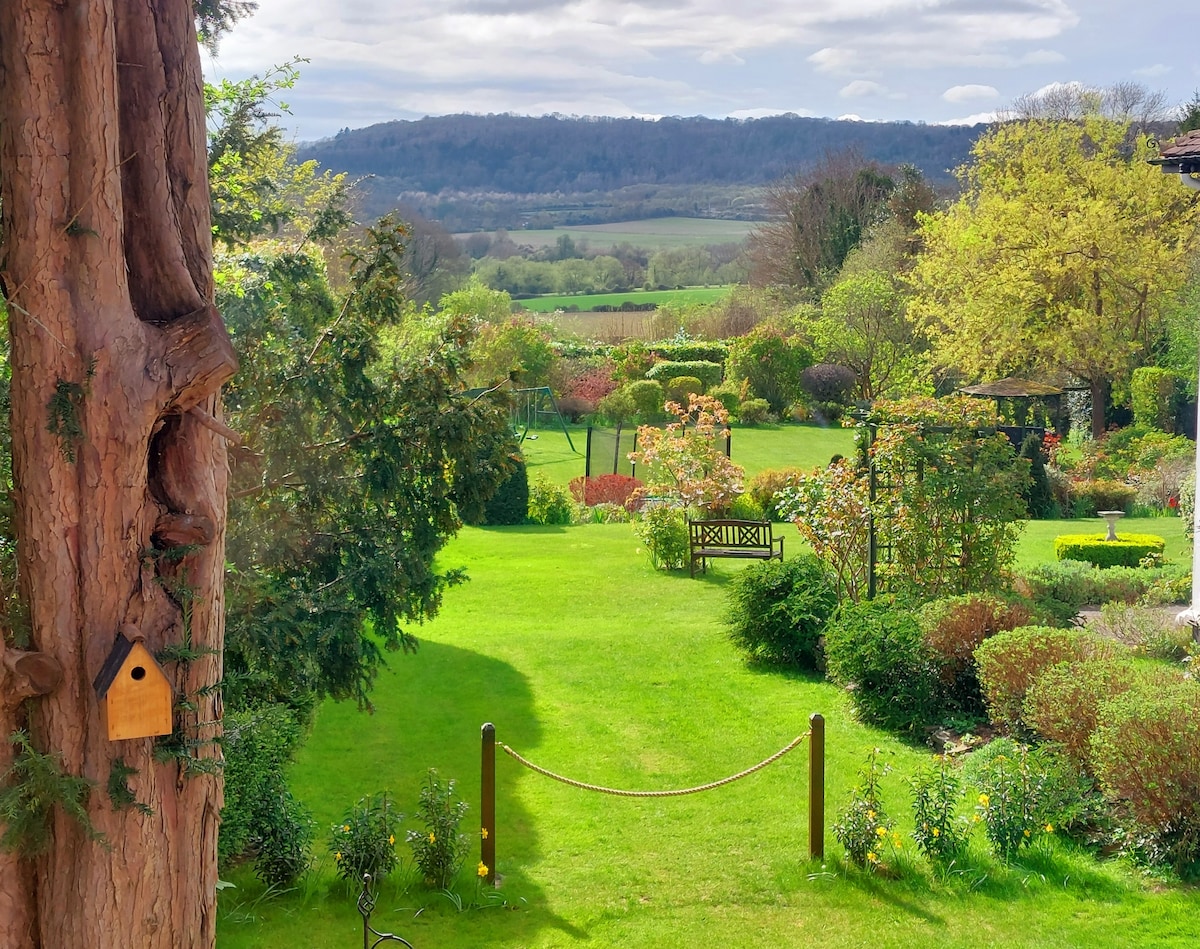 Amazing Views from Picture Windows