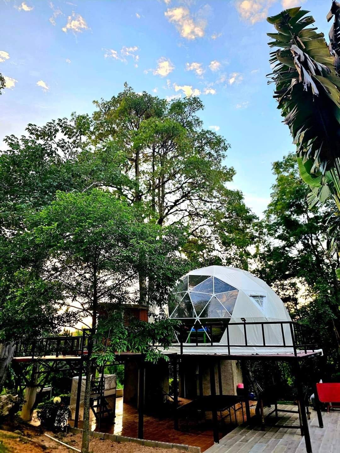 The Mountain Dome At Treehouses