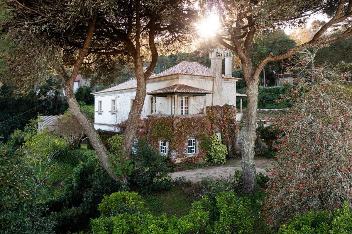 Chalet Sintra - Chapéu De Sol