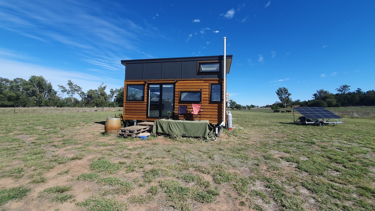 'Tinylicious' Custom Offgrid Tiny with a View