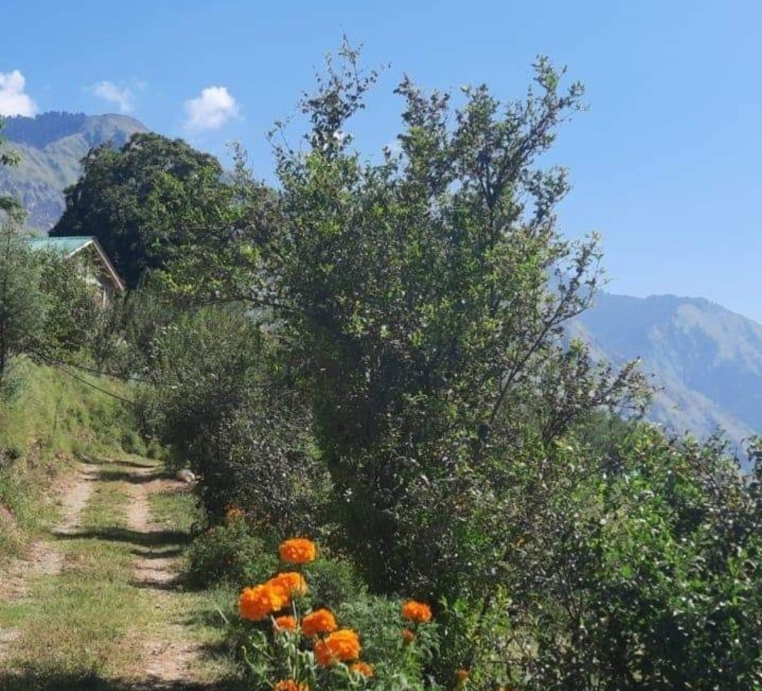 Shantibagh: Himalayan Serenity!