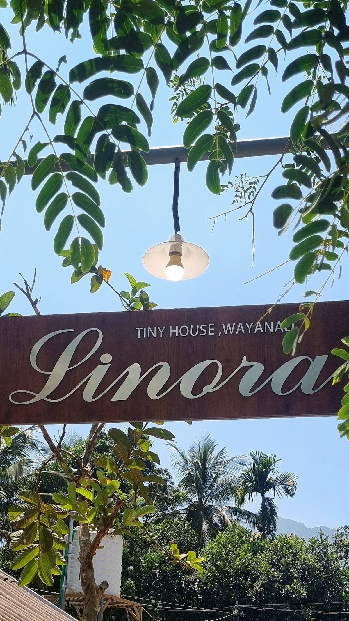 Linora Wayanad