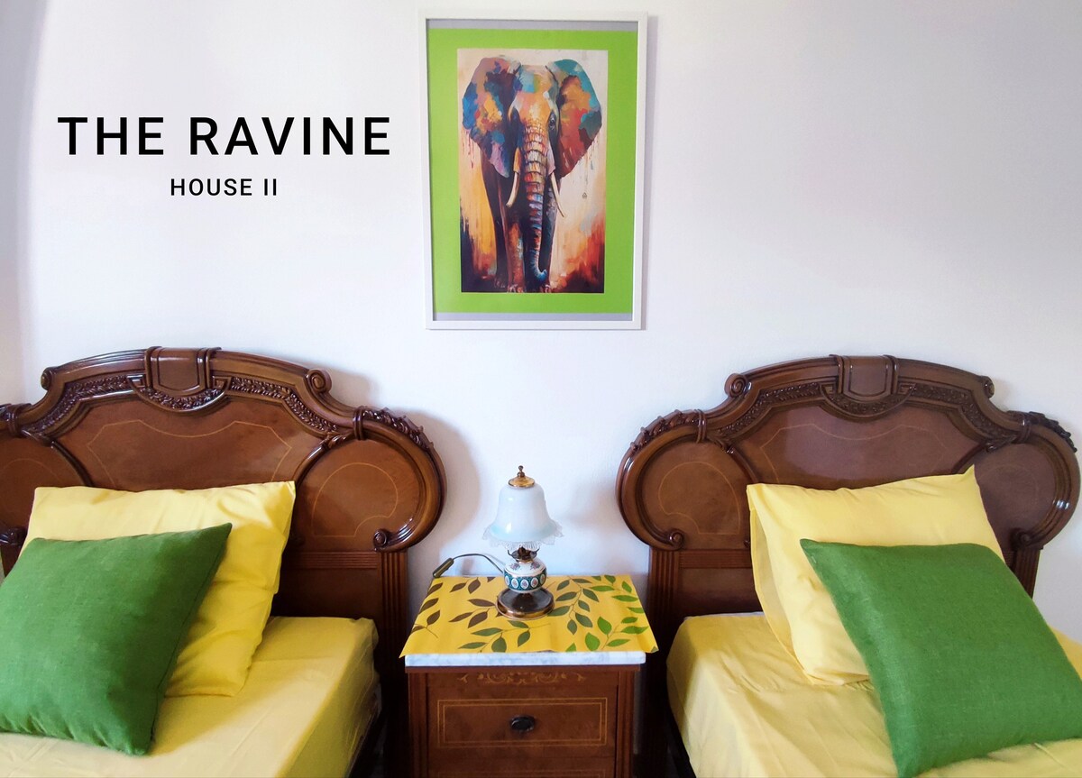 The Ravine House II