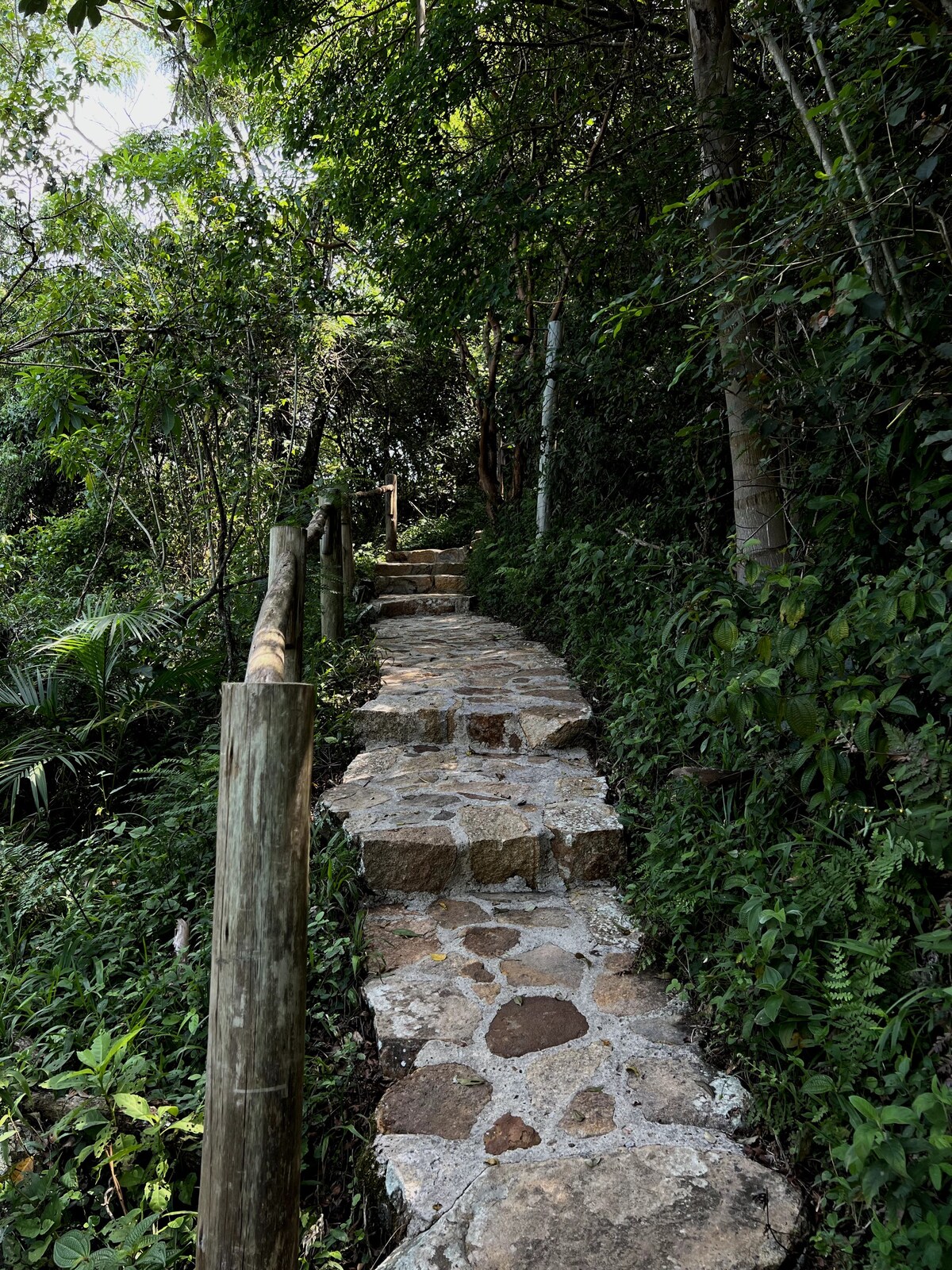 Casa Lótus: Explore a Natureza da Ilha