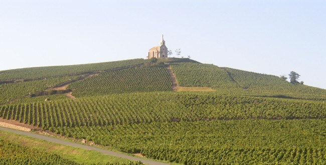 appartement milieu des vignes