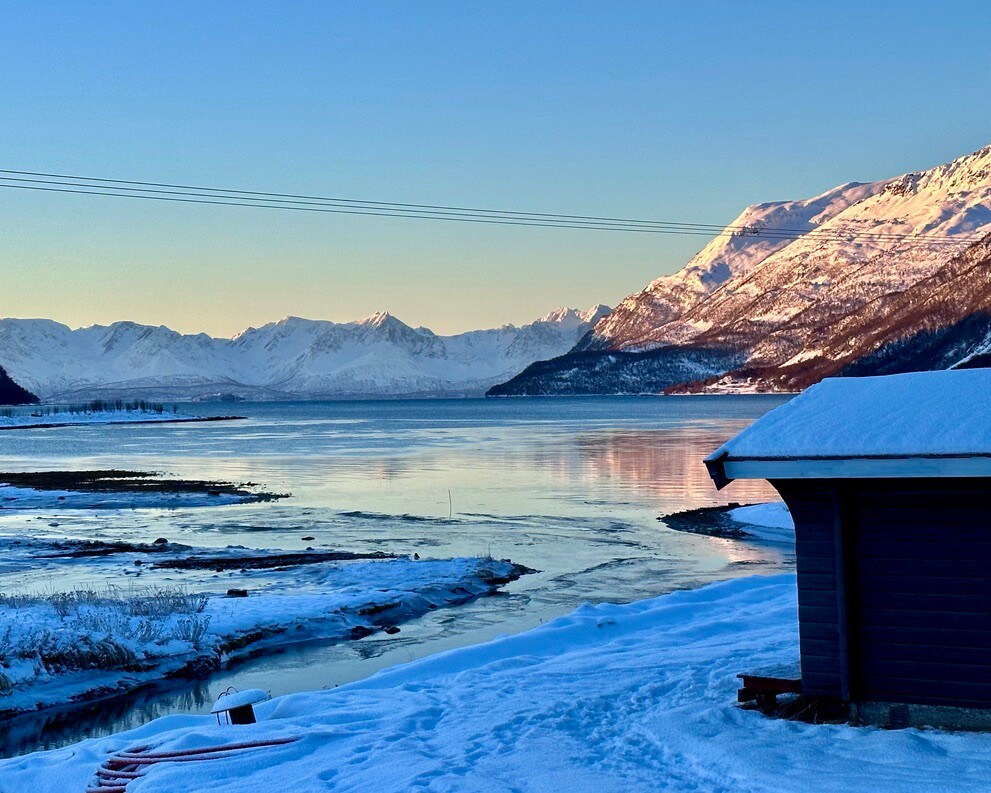 Hytte på Alteidet Camping