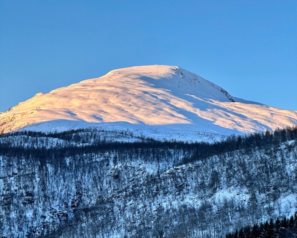 Hytte på Alteidet Camping