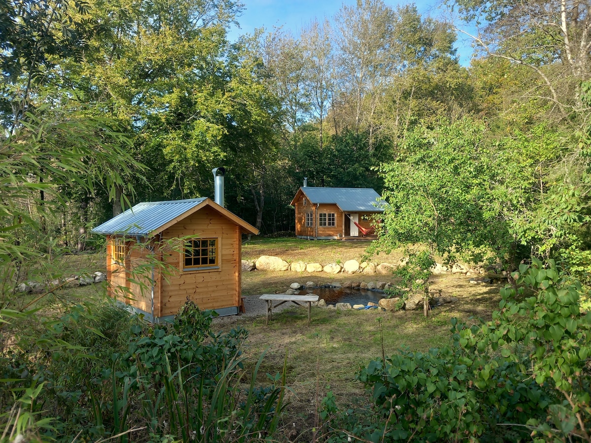 Timmer-glamping i Åkulla bokskogar