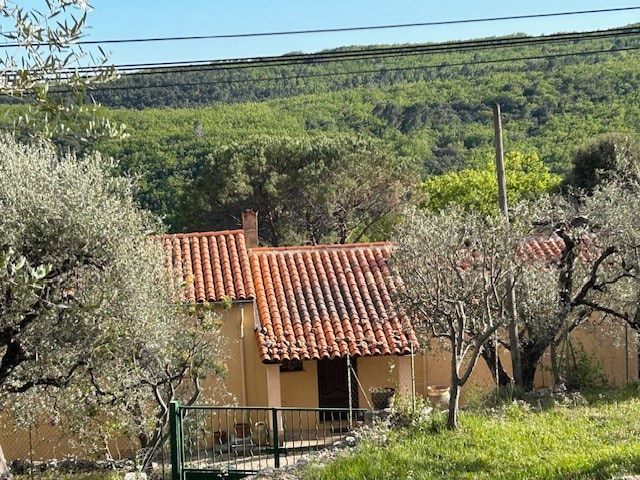 Maison  spacieuse dans la nature  des oliviers