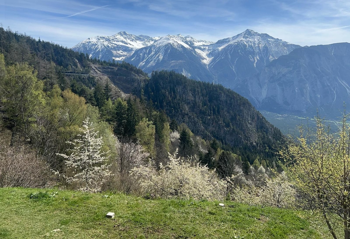 Alpine单间公寓@ Albinen/Leukerbad