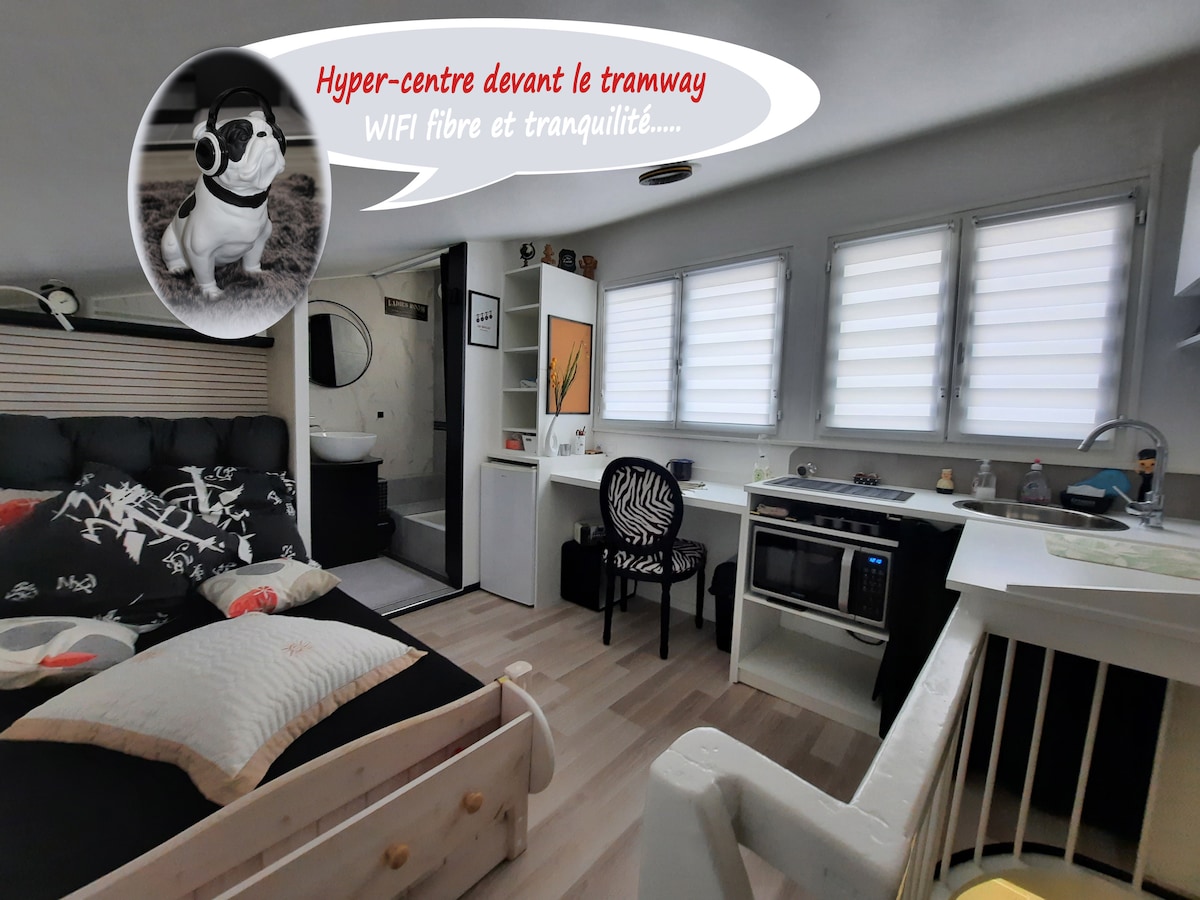 Logement hyper-centre hyper calme