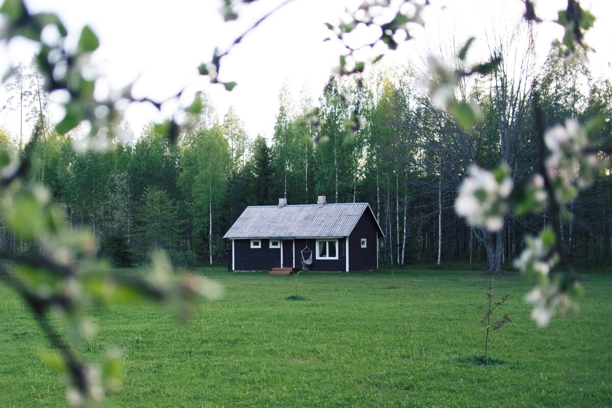 Peaceful Forest Cabin with Sauna