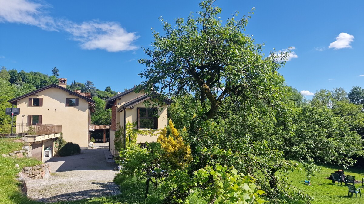 Tranquil Forest Retreat Near the Lakes and City