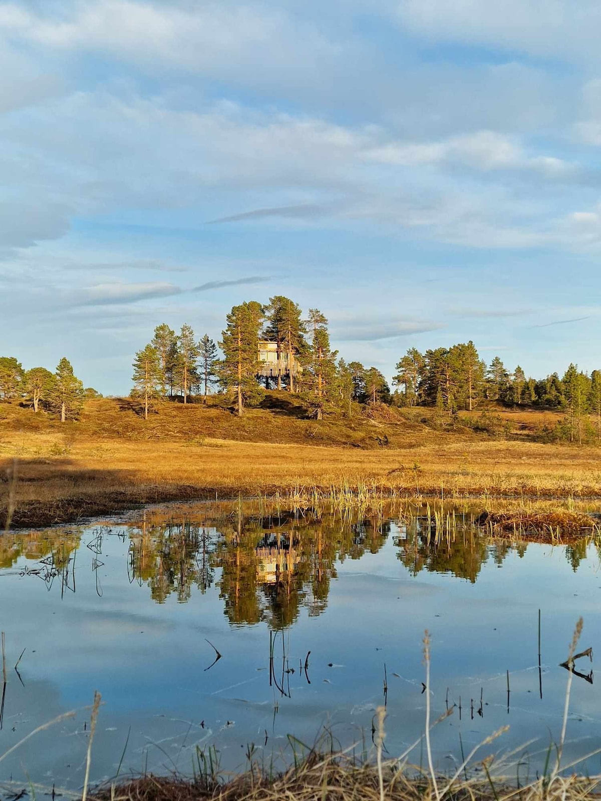 Romundstad Treetop Panorama