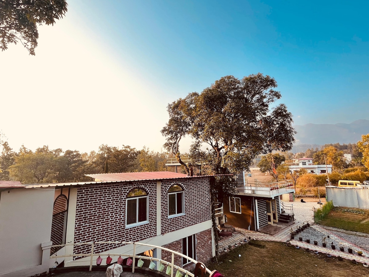 A tree house cottage(3 )