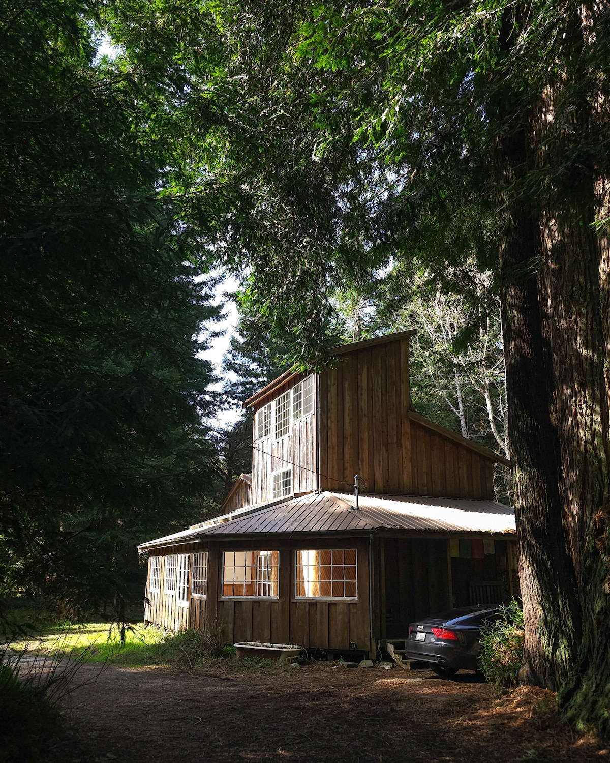 dreamy cabin in the redwoods & hot tub