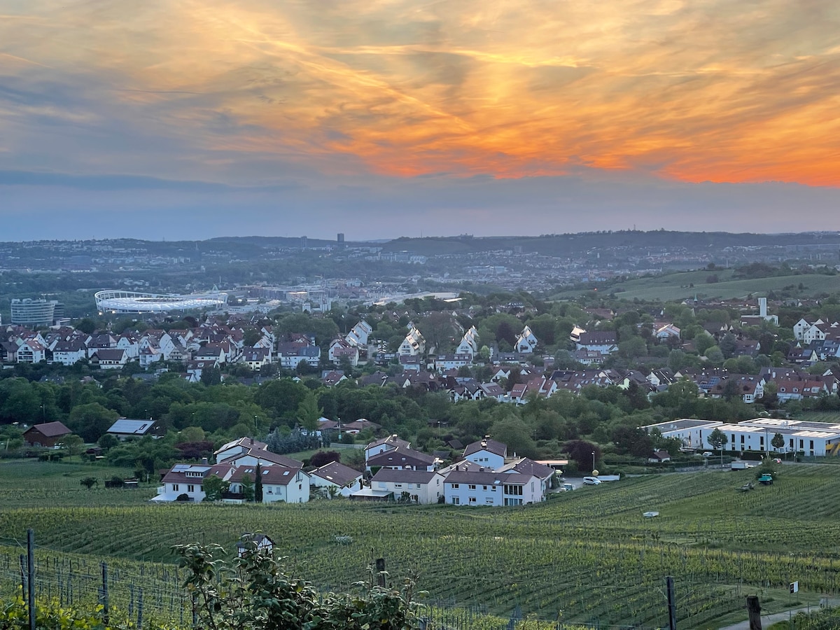 Wohnung mit Blick auf´s Stadion