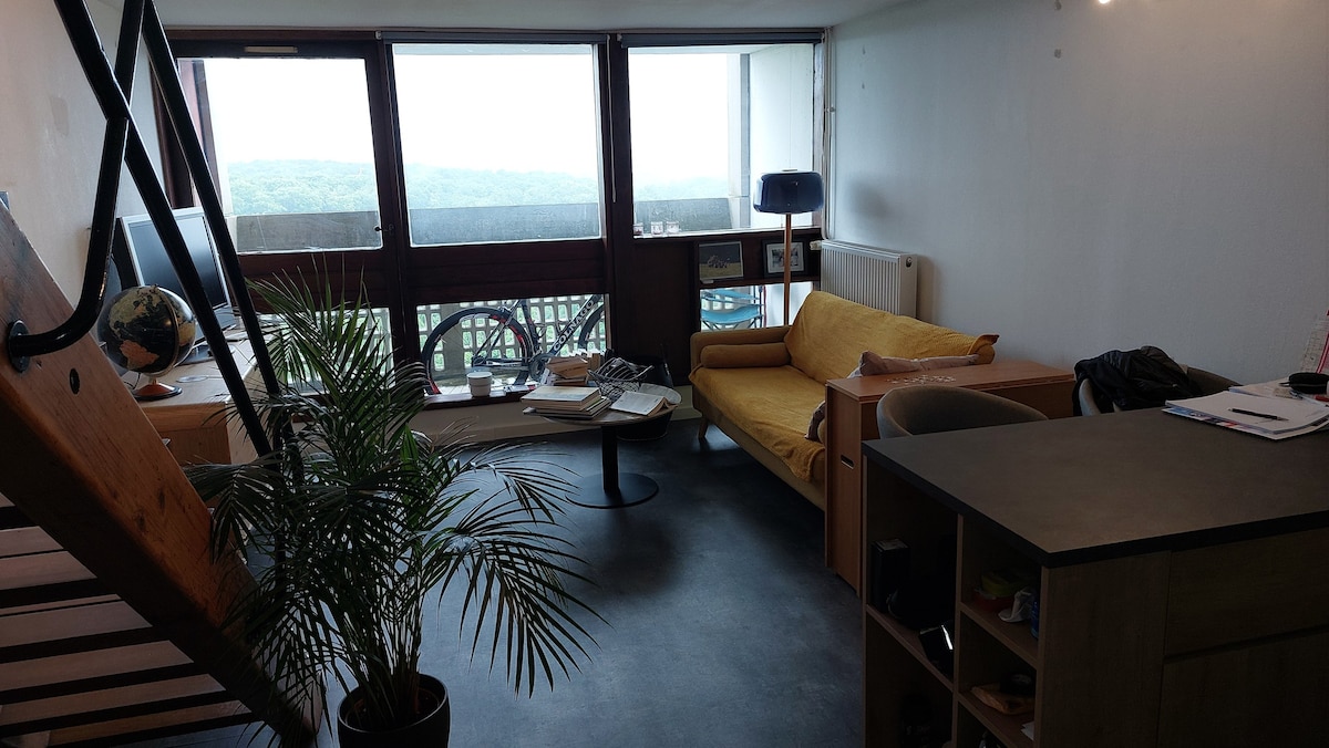 Appartement Duplex F3 Le Corbusier