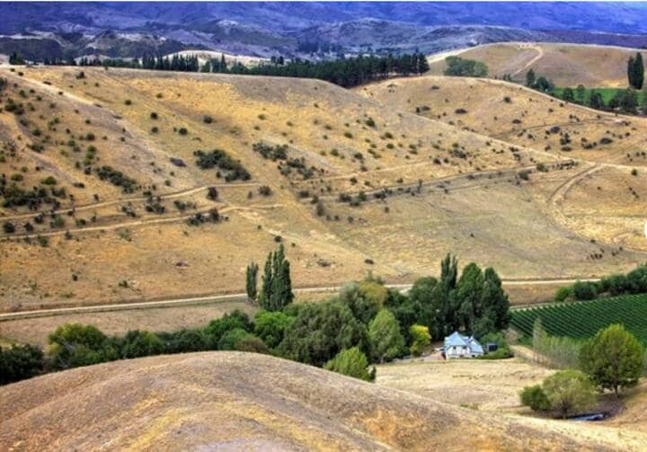 Studio in the grape vines