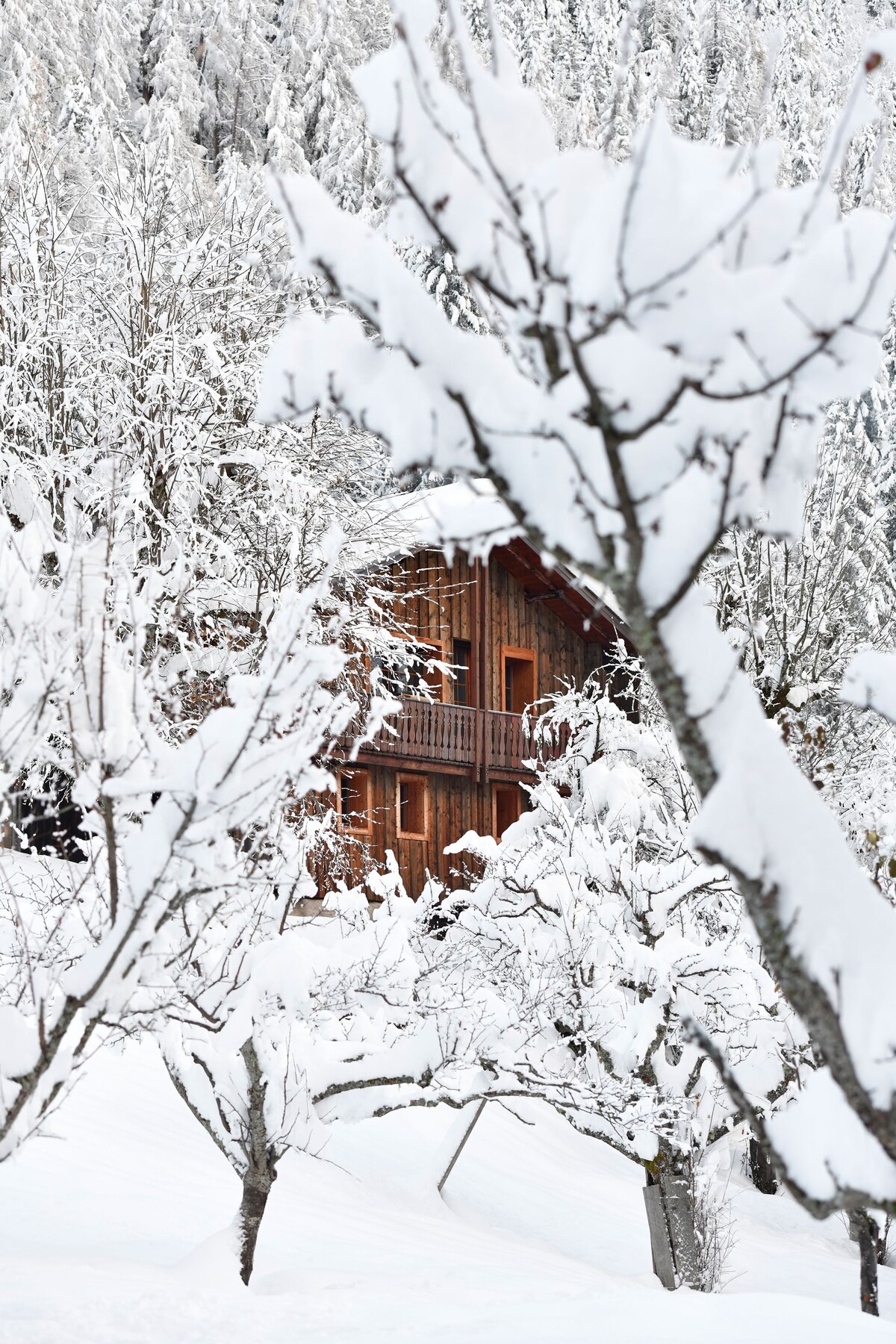 特里恩度假小屋（ Trient Holiday Cottage ） -勒约（ Les Jeurs ）