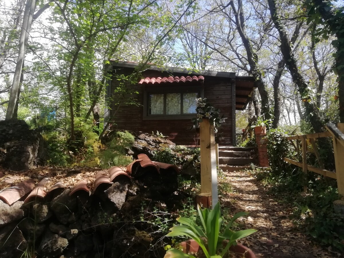 Casetta in legno tra gli alberi