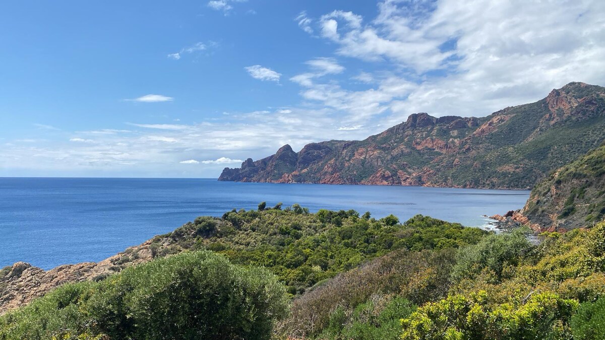 海景T3波尔图顶楼烧烤800米海景