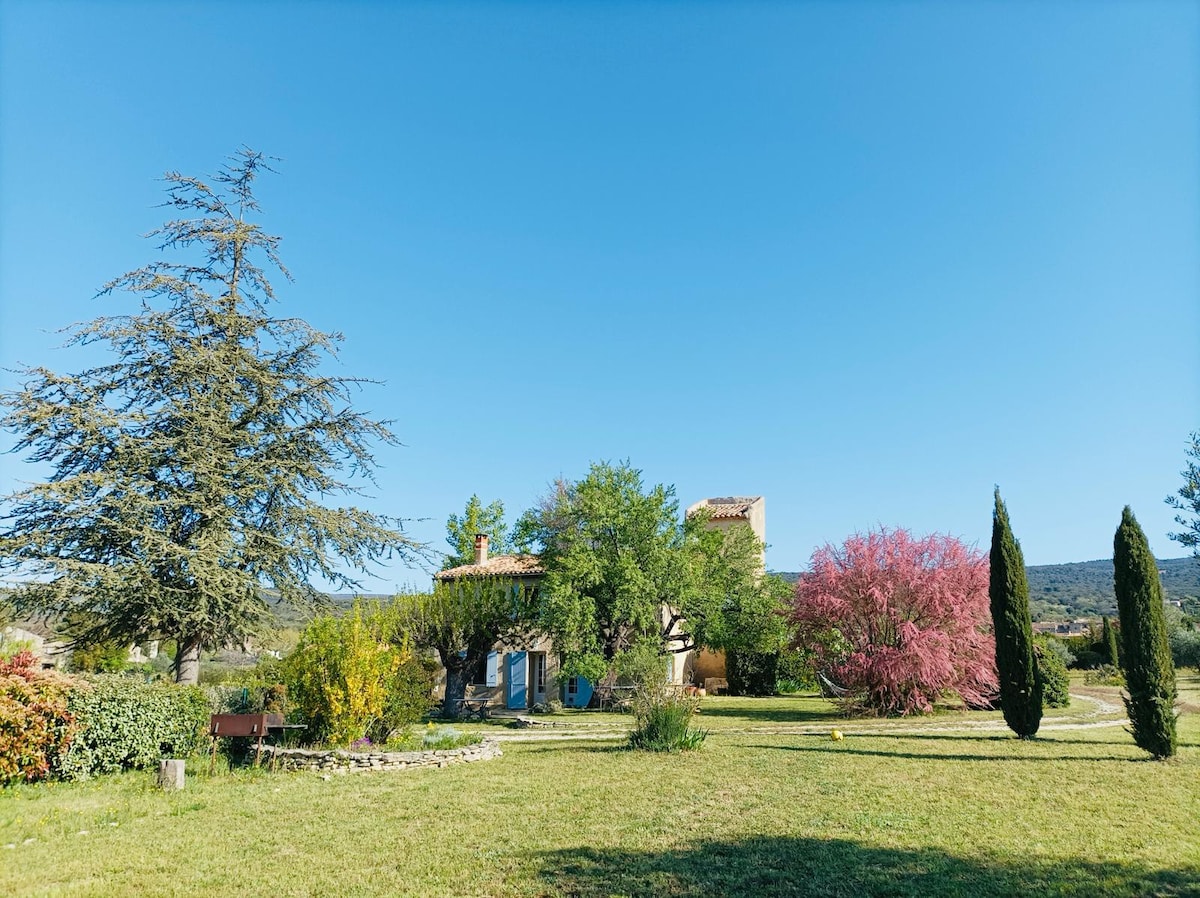 Mas Le Cèdre, jardin et piscine, Provence Luberon