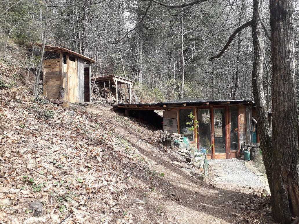 Jolie cabane dans la forêt