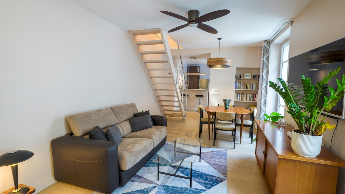 New Spacious Duplex in Oberkampf