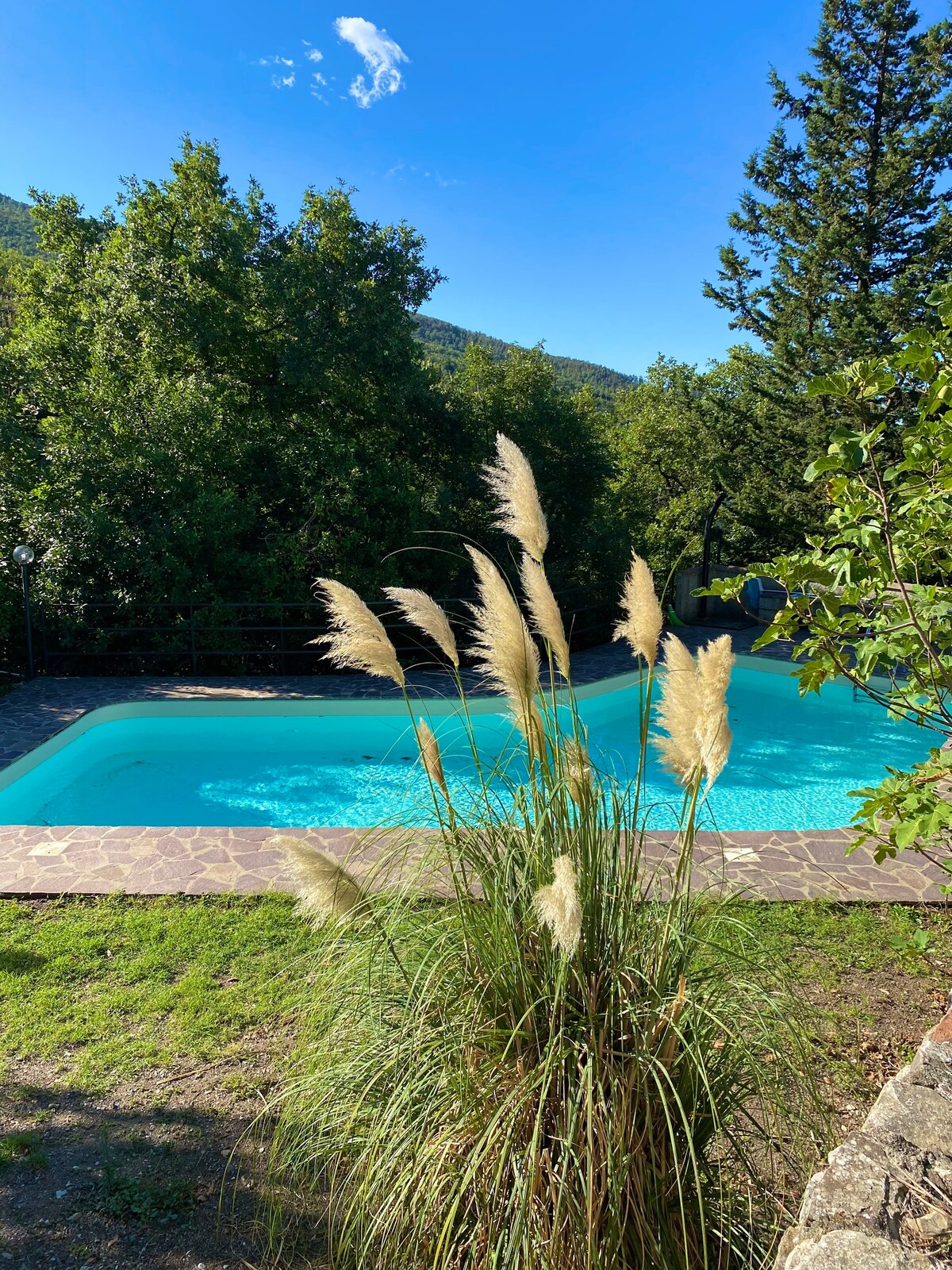 Fienile la Ripa - Pool, nature and relax