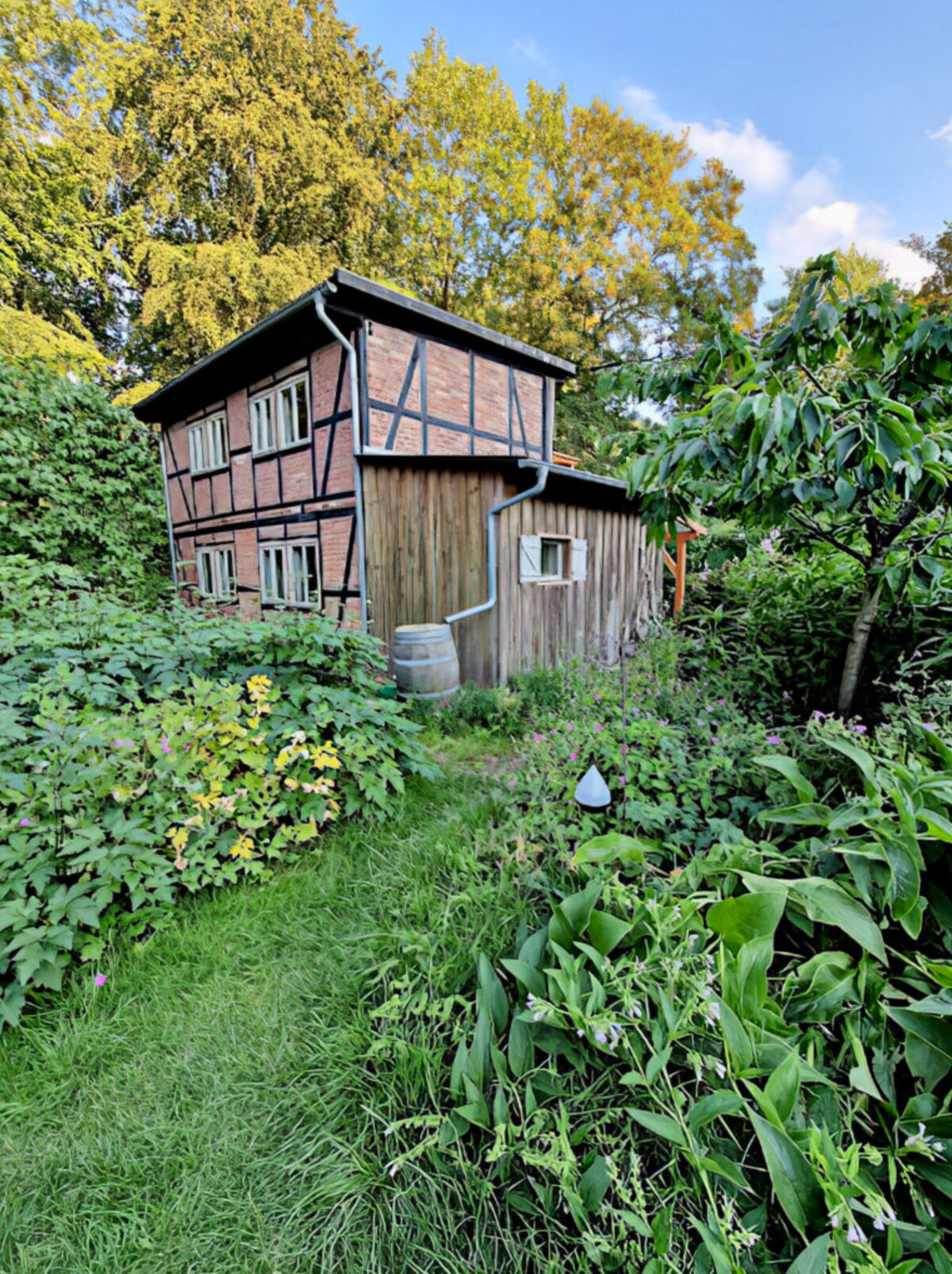 Ferienhaus am See