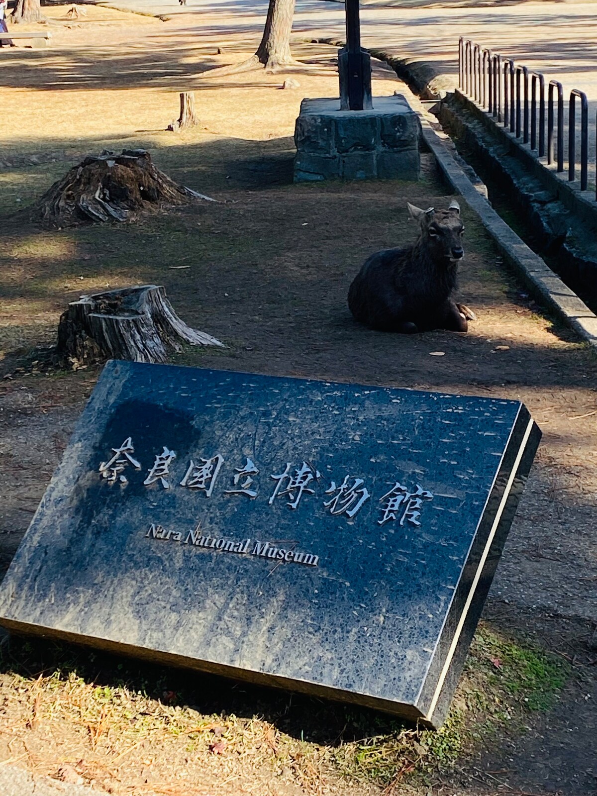 大阪梅田民宿淀川花B一楼套房