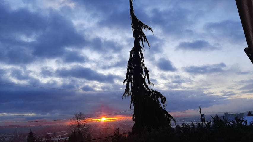 新威斯敏斯特(New Westminster)的民宿