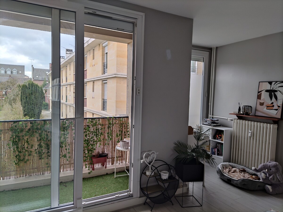 Appartement avec balcon - centre