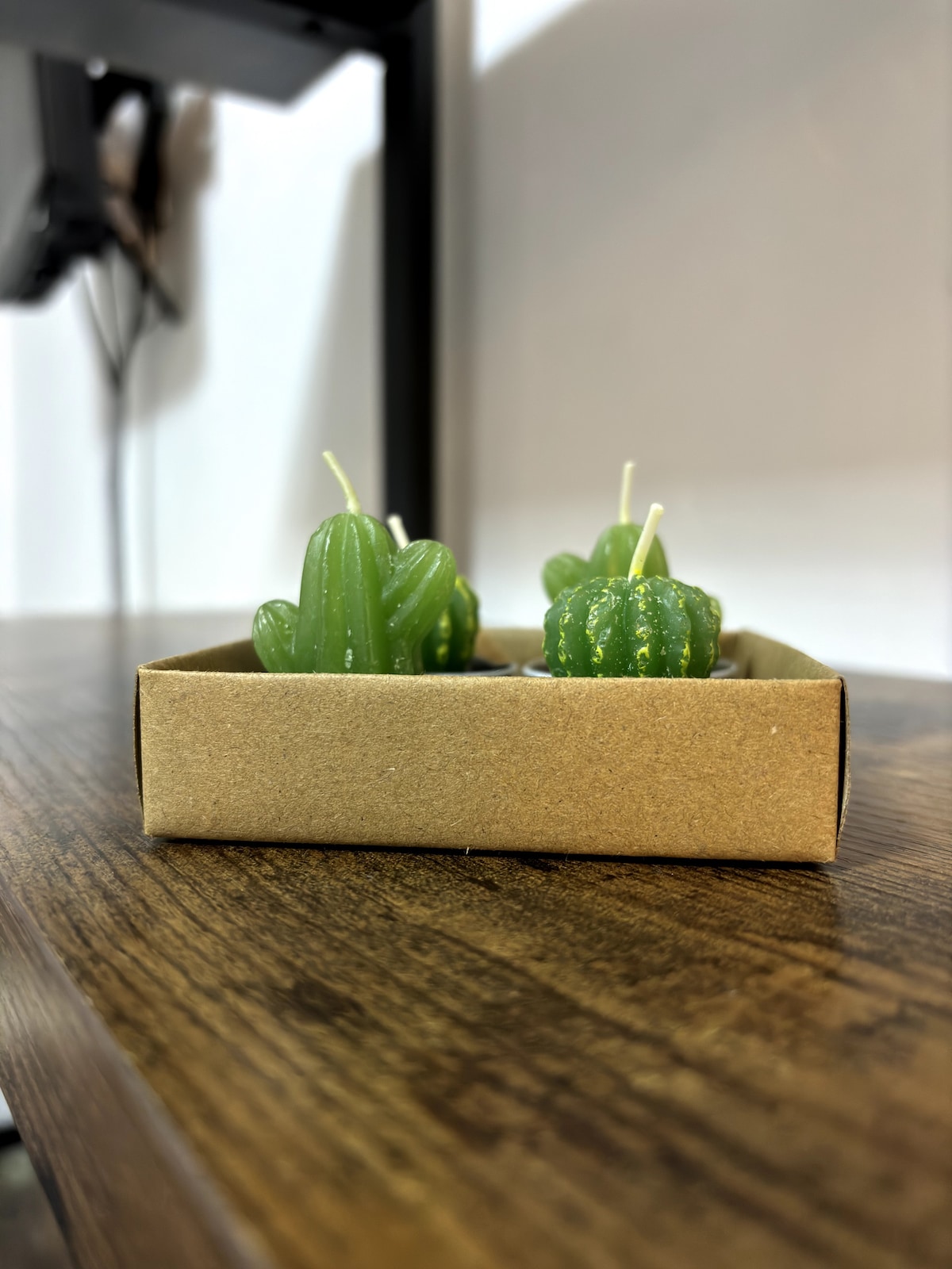 [Cactus-Room]