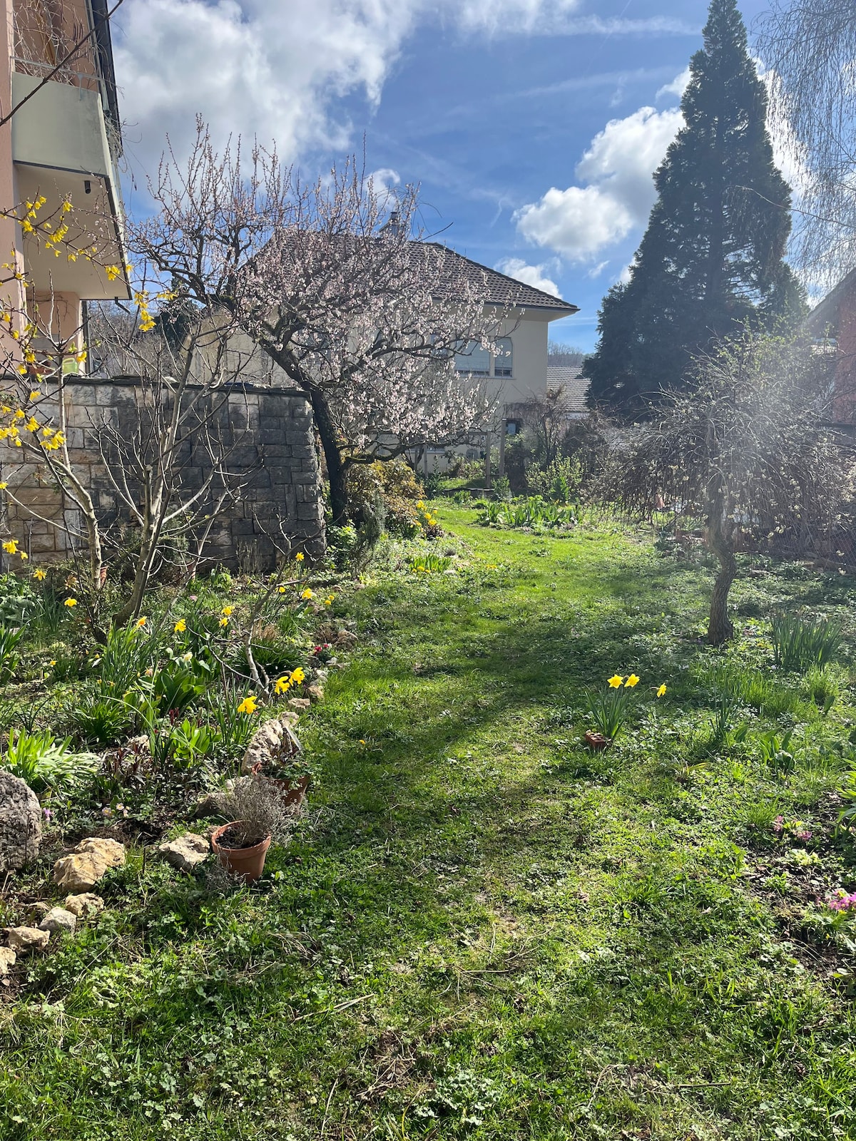 Wohnung mit schönen Garten