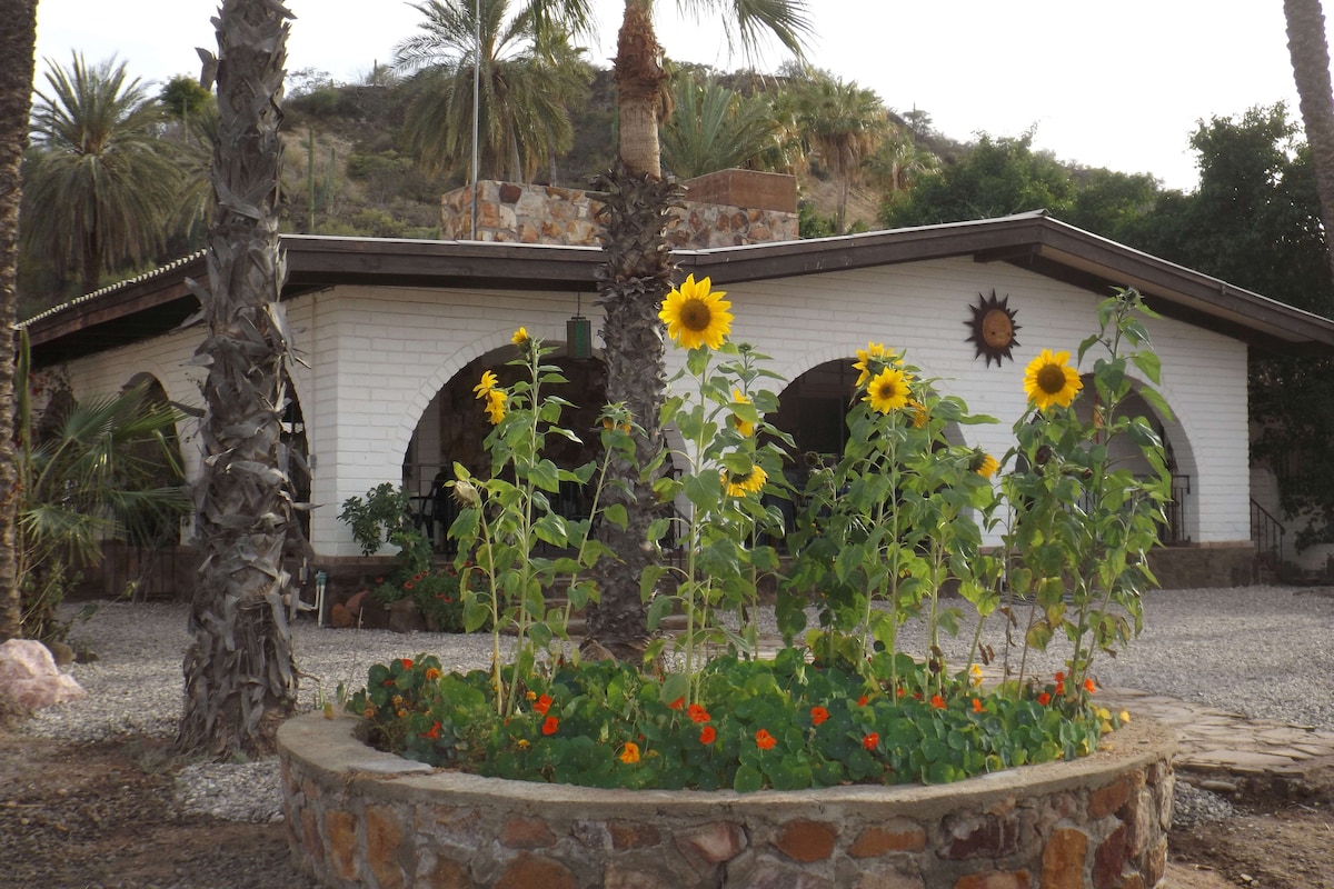 Casa Ruberta in the Oasis Rio Baja.