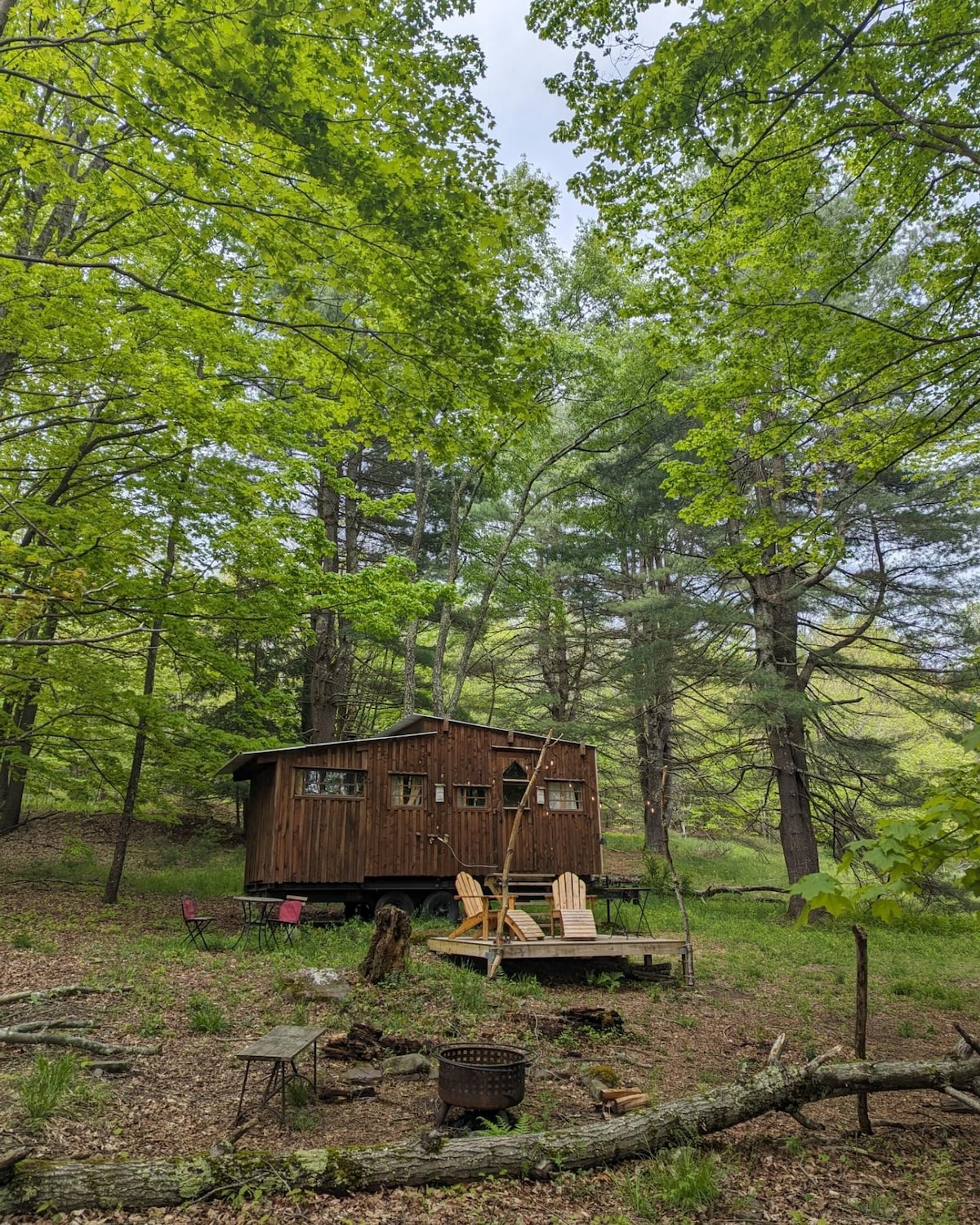 Off-grid Catskills Tiny Cabin