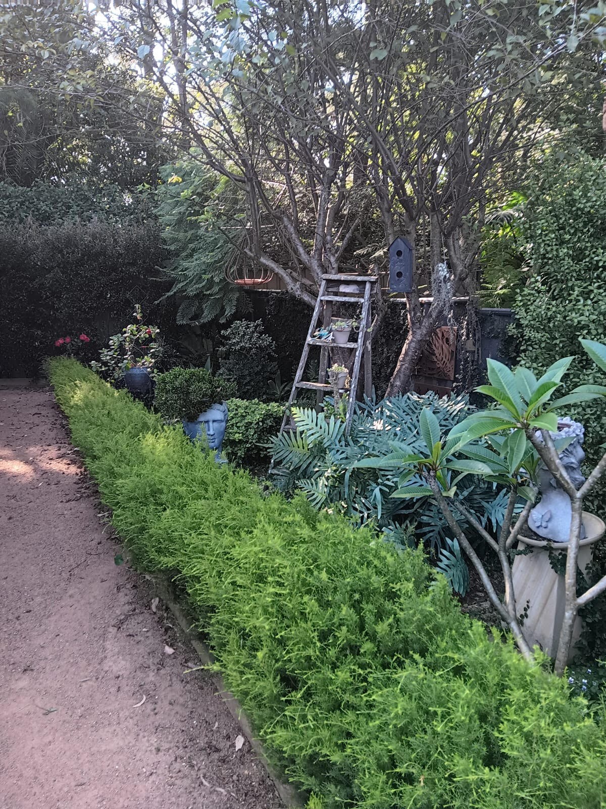 Tree Hideaway in Secret Garden