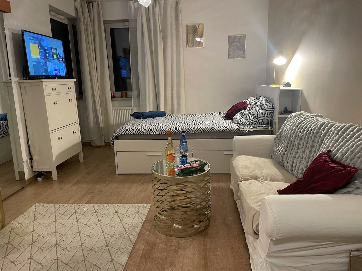 Spacious and cozy apartment in Białołęki