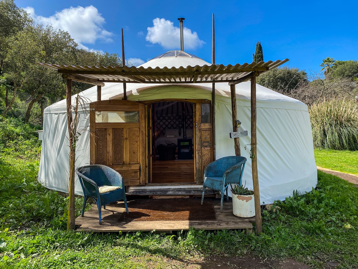 Dwarf Yurt at Ritmo da Terra