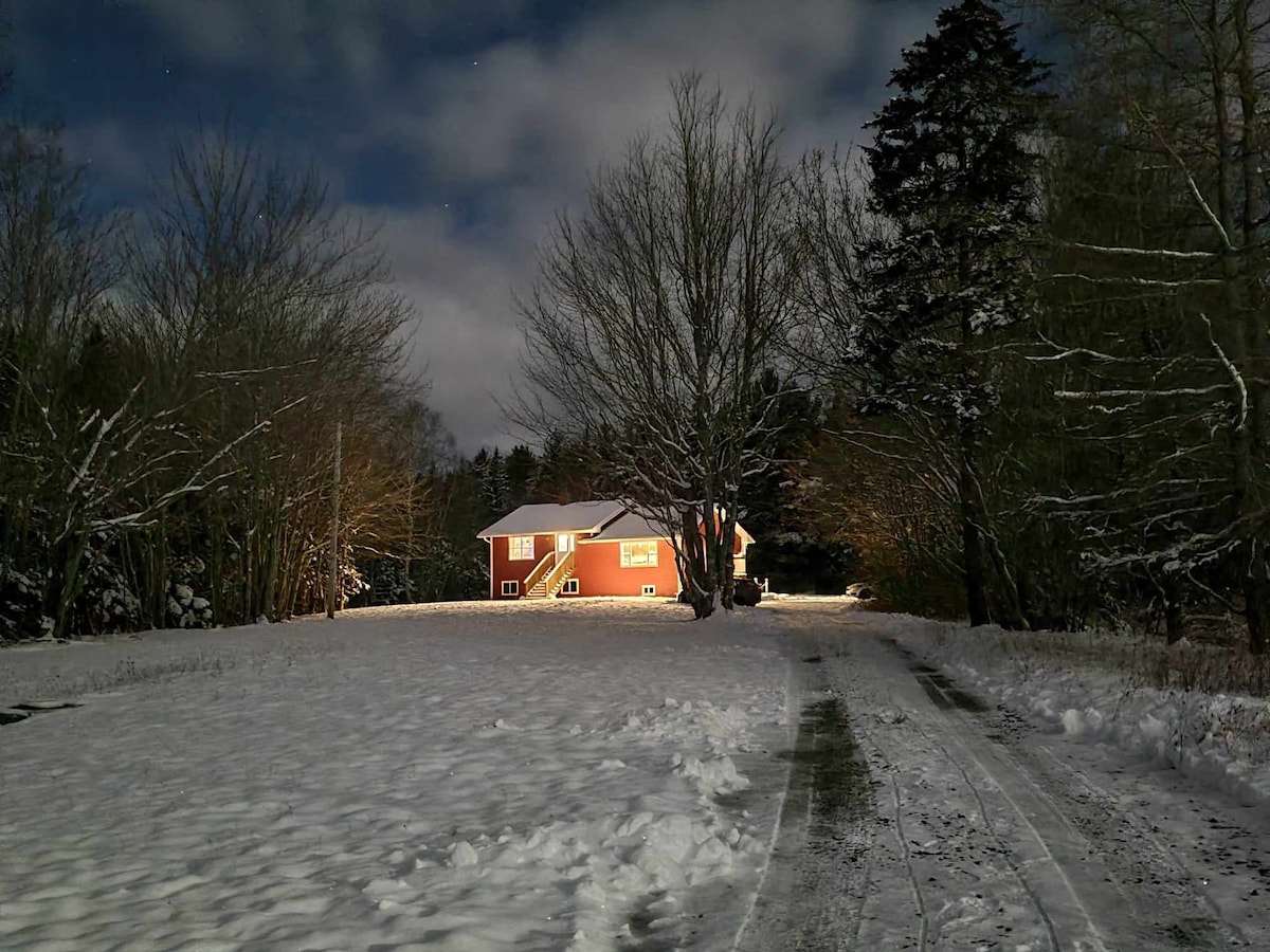 Spacious, bright house and yard