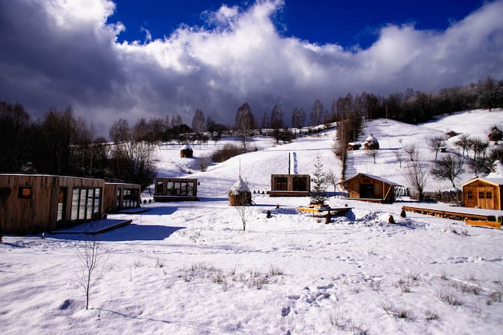 Bănița的民宿