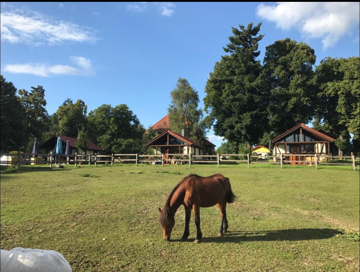 Hof Lillge - Ferienhaus umgeben von Pferden