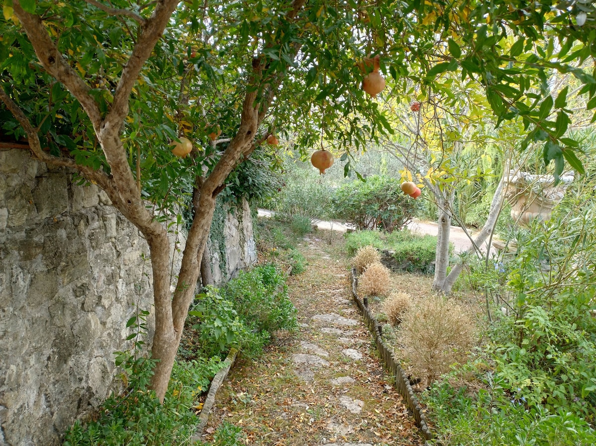 Nel verde di villa sant' angelo