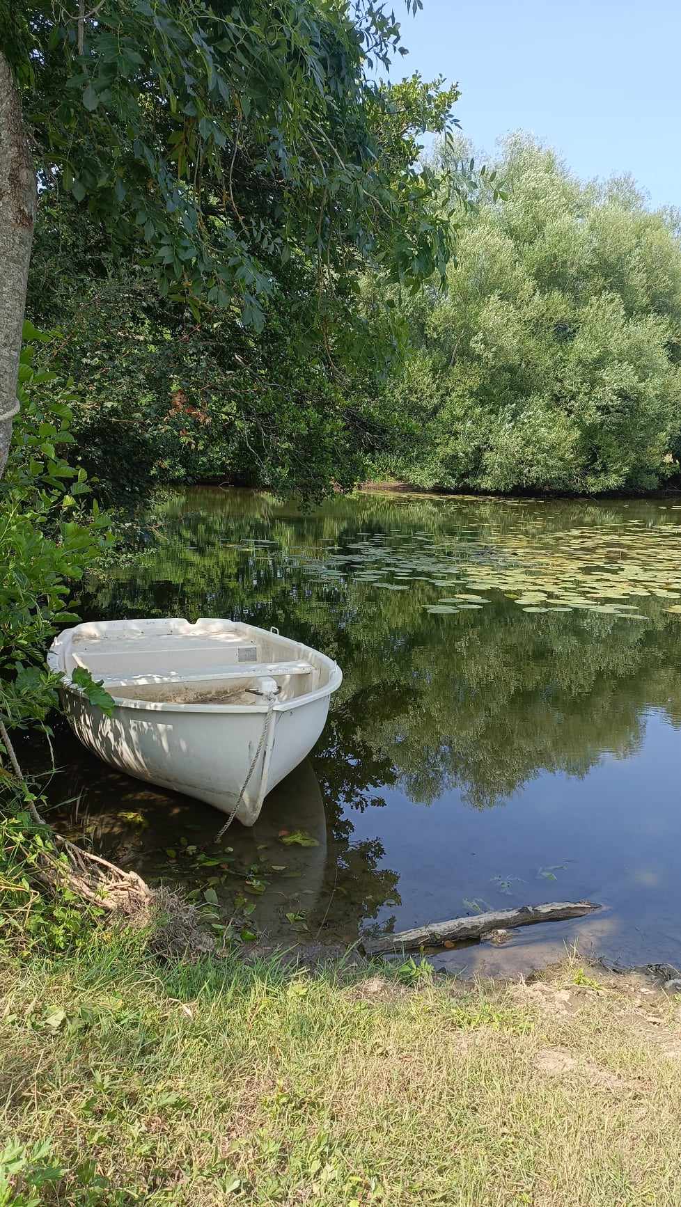 Au cœur de la nature