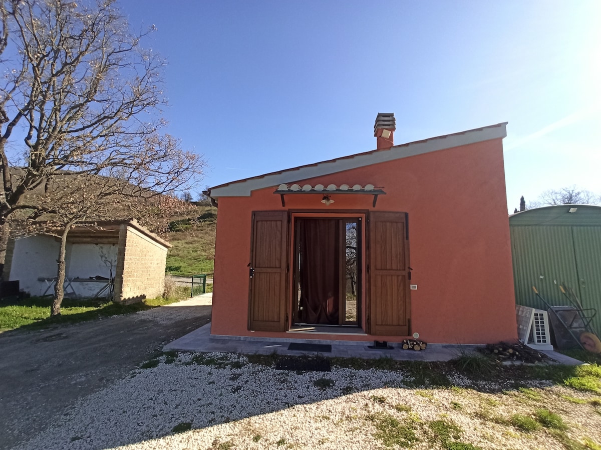 The Archaeologist's Cottage