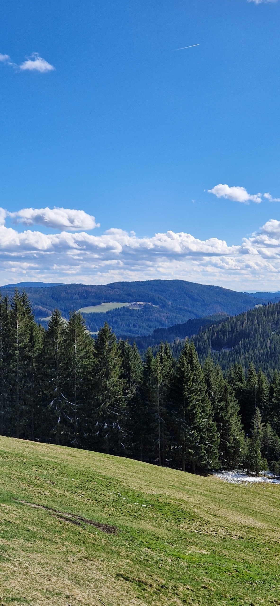 Waldglück Ind. - Glück in Kubik