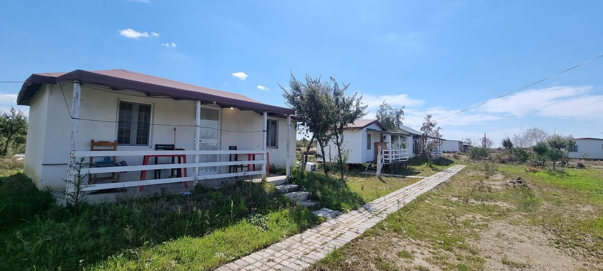 Beach cabins behind family restaurant